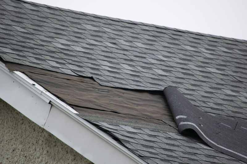 Complete Shingle Replacement