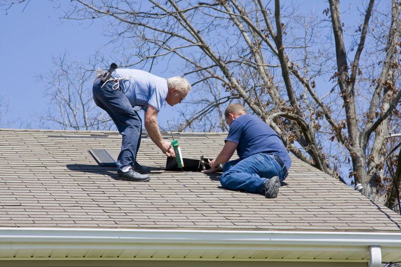 Roof Repair and Maintenance